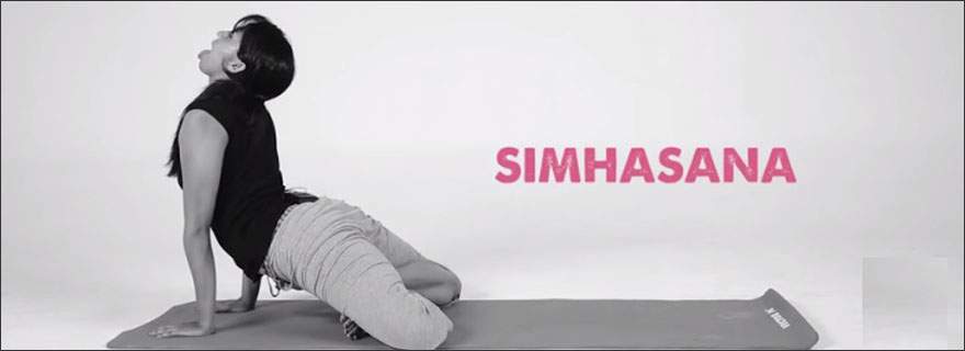 Simhasana - Lion Pose In Yoga - How to do, Benefits, Precautions |  Thunderbolt pose, Poses, Camel pose